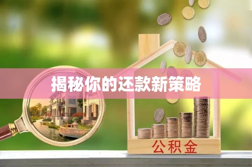 永康揭秘你的还款新策略