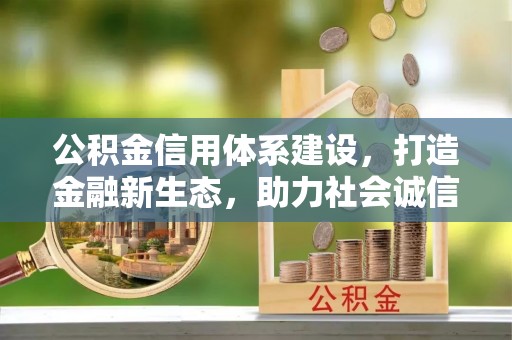 永康公积金信用体系建设，打造金融新生态，助力社会诚信发展