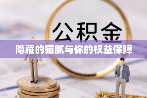 永康隐藏的猫腻与你的权益保障