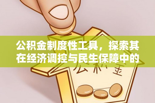 永康公积金制度性工具，探索其在经济调控与民生保障中的重要作用