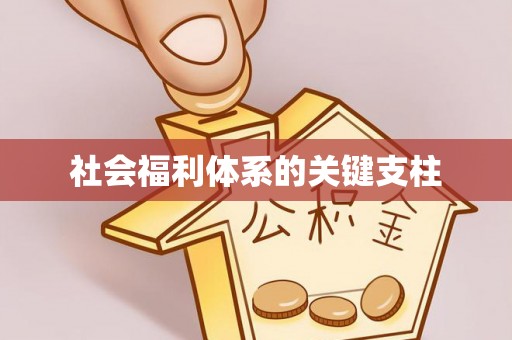 永康社会福利体系的关键支柱