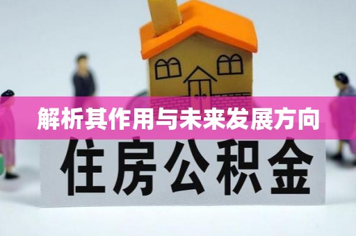 永康解析其作用与未来发展方向