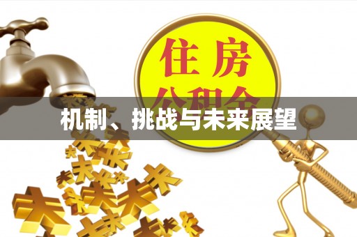 永康机制、挑战与未来展望