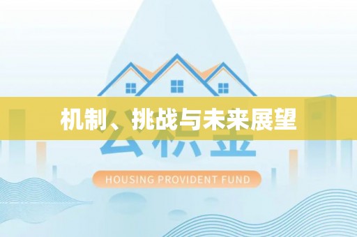 永康机制、挑战与未来展望