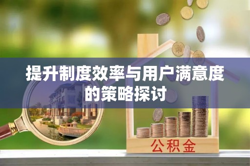 永康提升制度效率与用户满意度的策略探讨